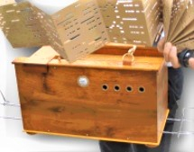 mtemawashiOrgan.jpg