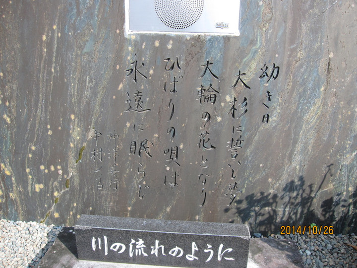 059 059