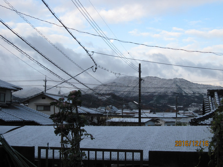 Img_5554 Img_5554