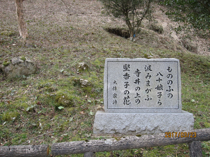 Img_5824 Img_5824