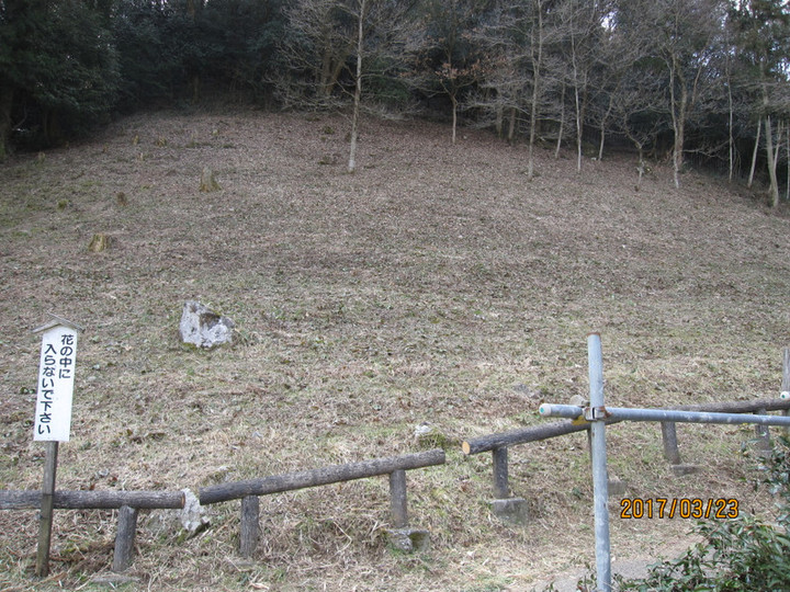 Img_5828 Img_5828