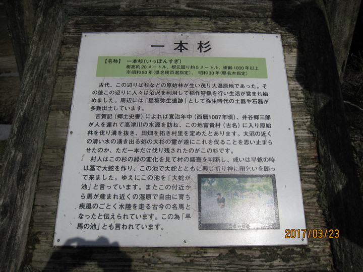 Img_5830 Img_5830