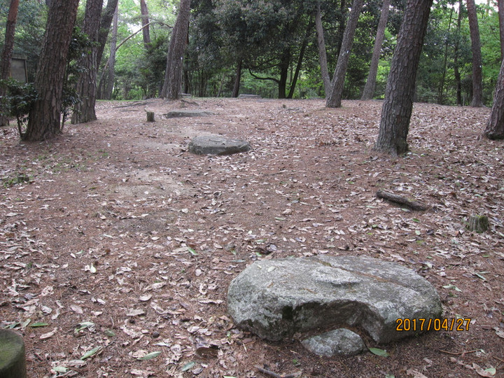 Img_5965 Img_5965