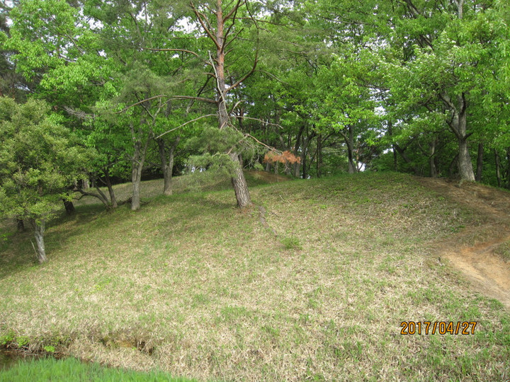 Img_5970 Img_5970