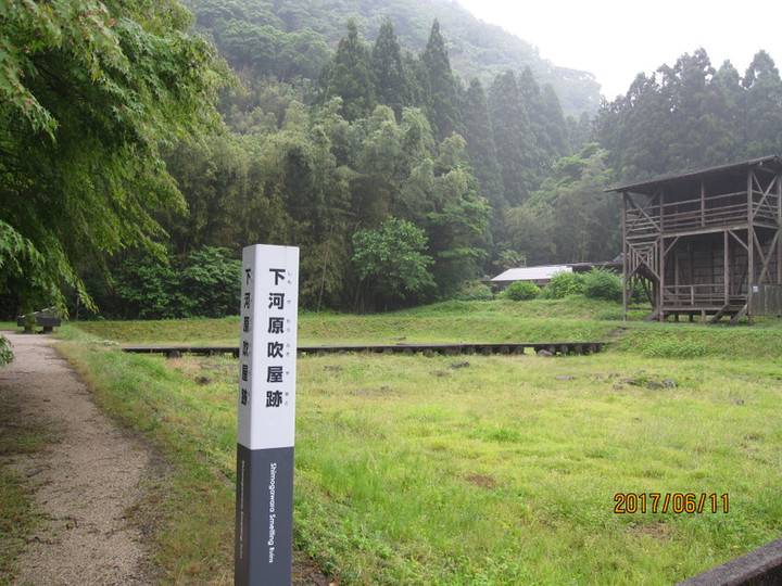 Img_6130 Img_6130