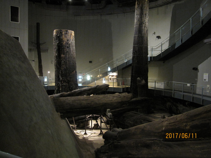 Img_6138 Img_6138