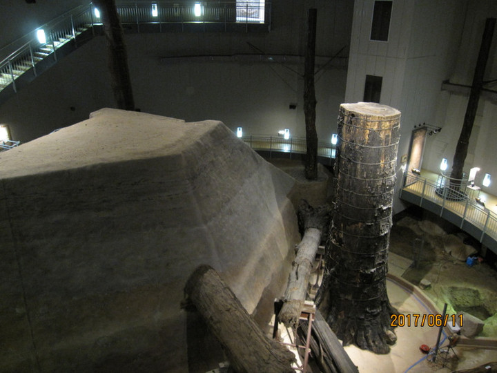Img_6142 Img_6142