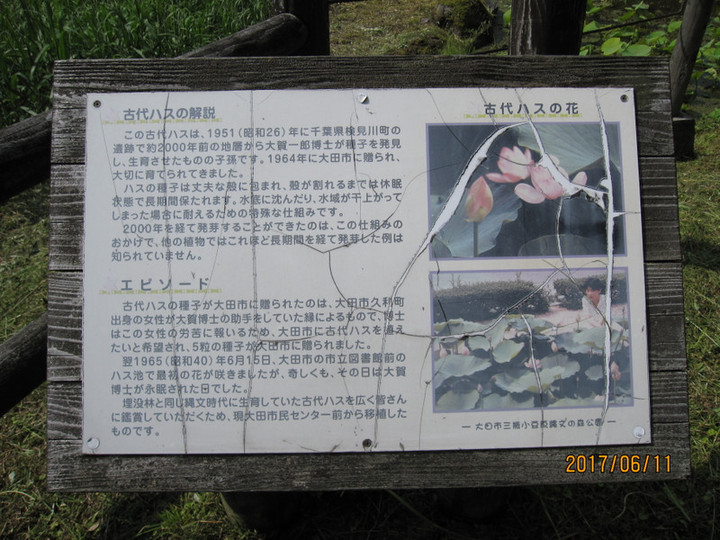 Img_6148 Img_6148