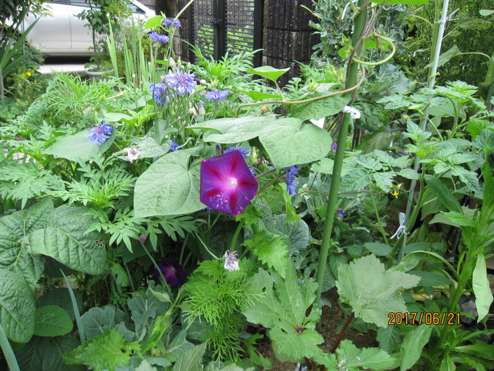 Img_6194 Img_6194