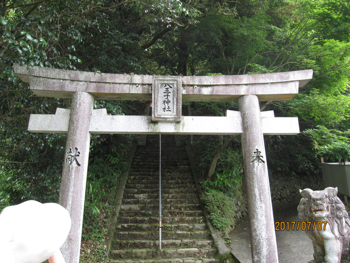 Img_6225 Img_6225
