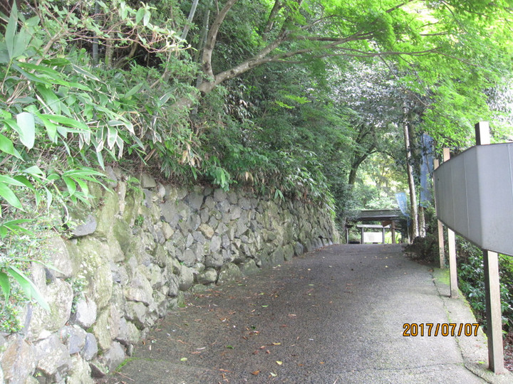 Img_6228 Img_6228