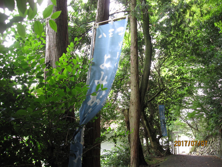 Img_6235 Img_6235