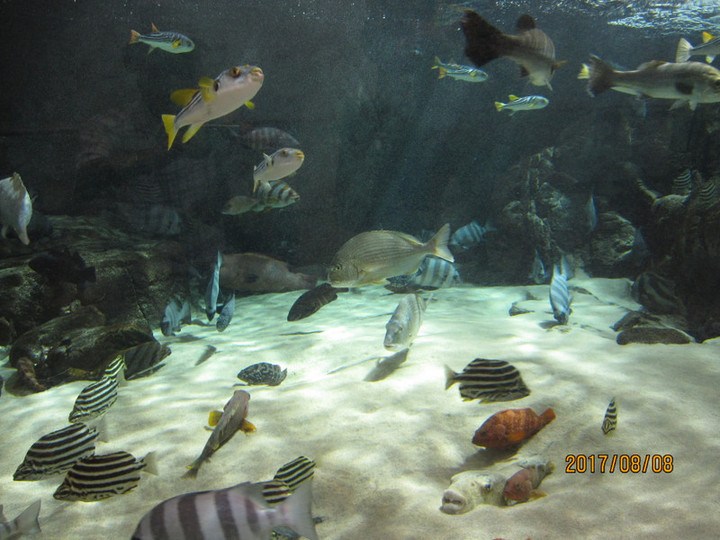 Img_6304 Img_6304