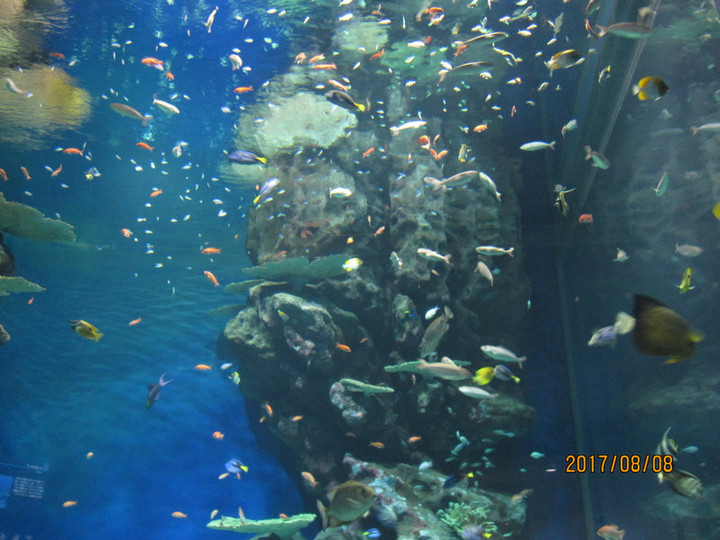 Img_6310 Img_6310