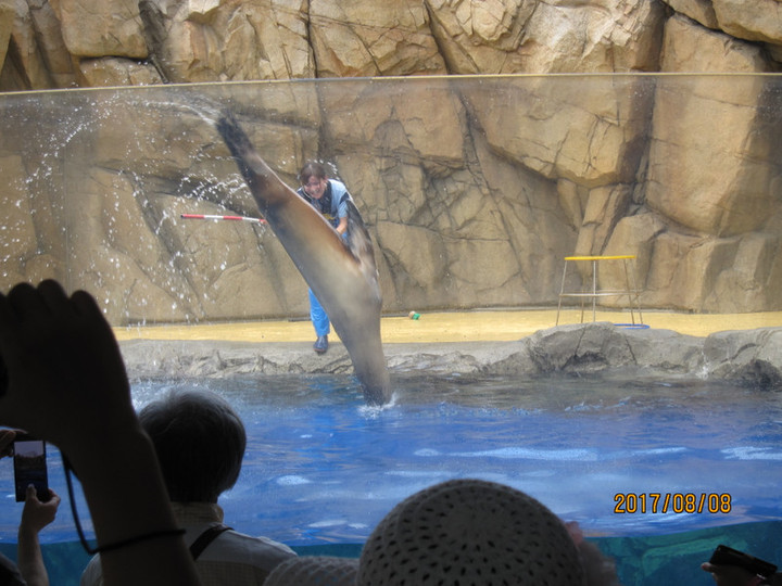 Img_6314 Img_6314