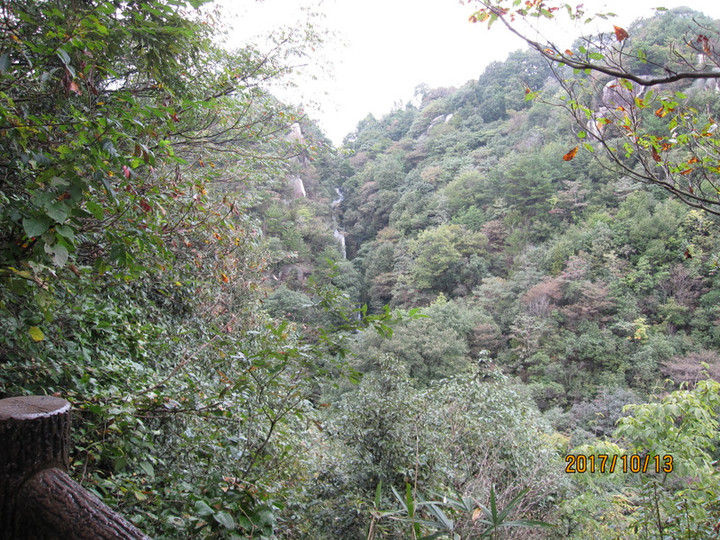 Img_6457 Img_6457