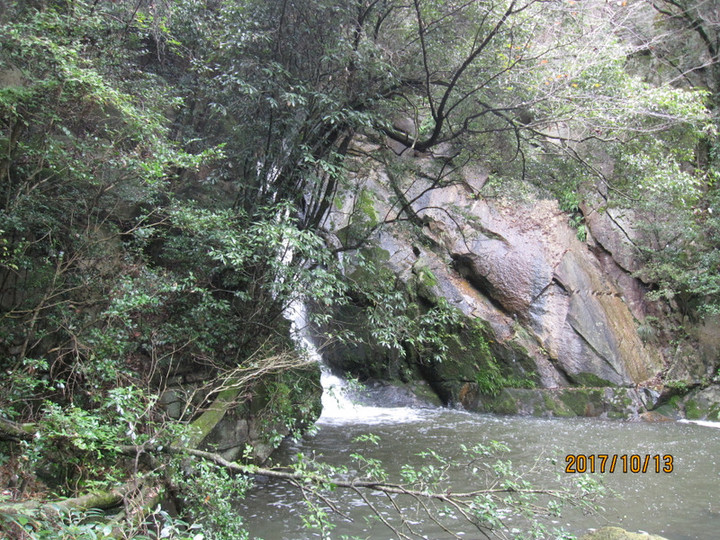 Img_6460 Img_6460
