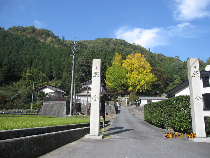 Img_6535 Img_6535