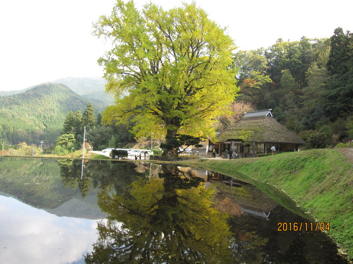 Img_5346 Img_5346
