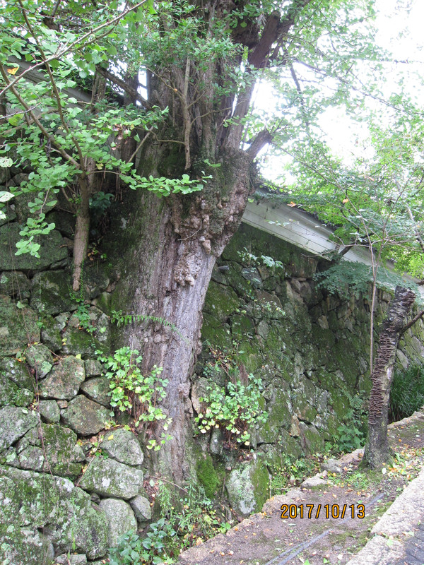Img_6484 Img_6484