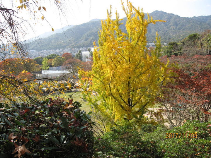 Img_6575 Img_6575