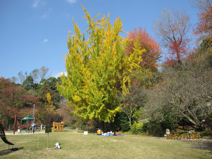 Img_6578 Img_6578