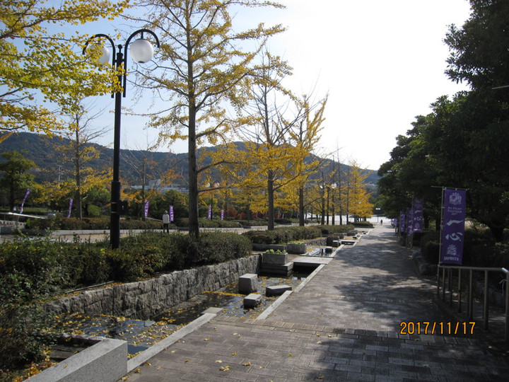 Img_6603 Img_6603