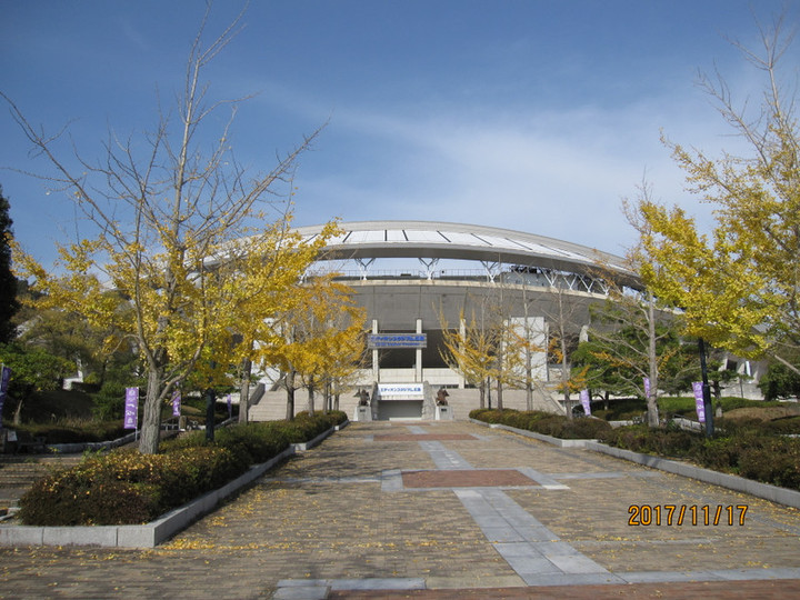 Img_6604 Img_6604
