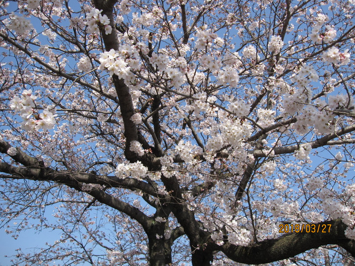 Img_6748 Img_6748