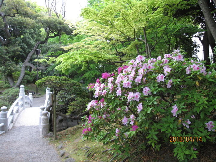 Img_6844 Img_6844