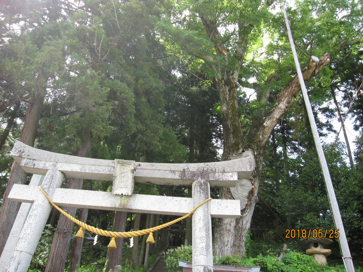 Img_7118 Img_7118
