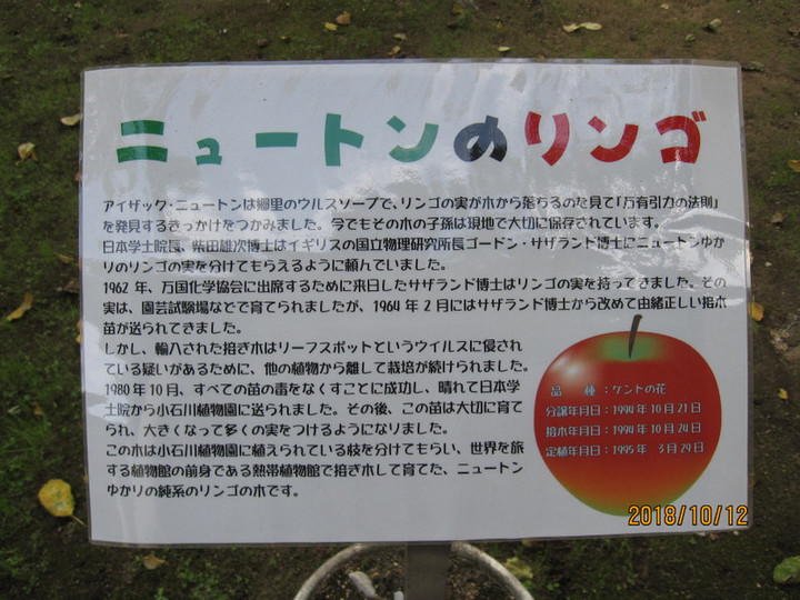 Img_7535 Img_7535