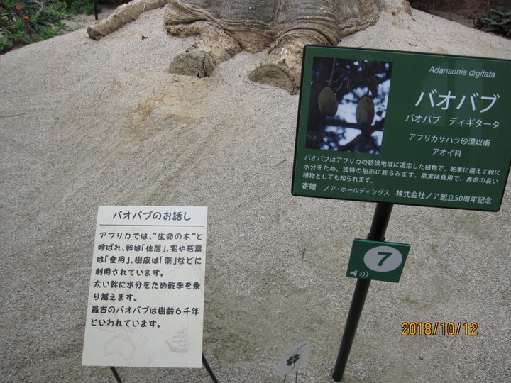 Img_7541 Img_7541