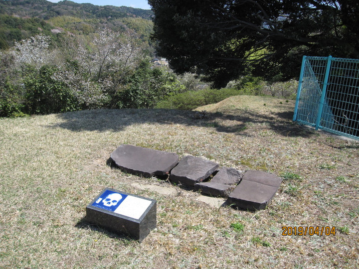 Img_7808 Img_7808