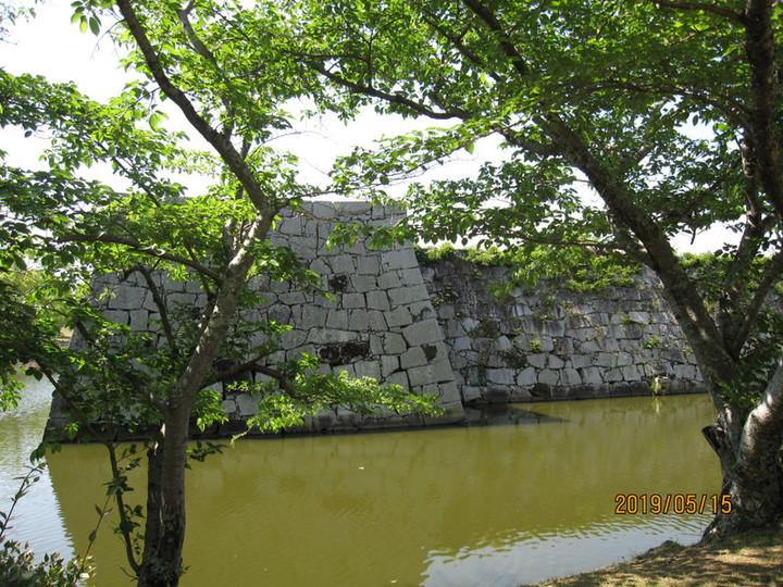 Img_7944 Img_7944
