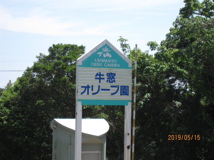 Img_7955 Img_7955