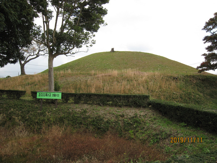 Img_8218 Img_8218