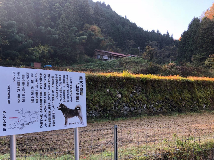 Ishigou Ishigou