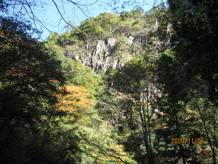 Img_8745 Img_8745