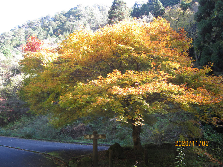 Img_8746 Img_8746