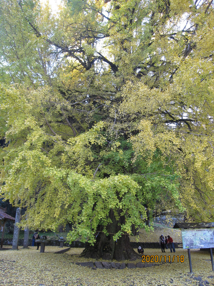 Img_8773 Img_8773