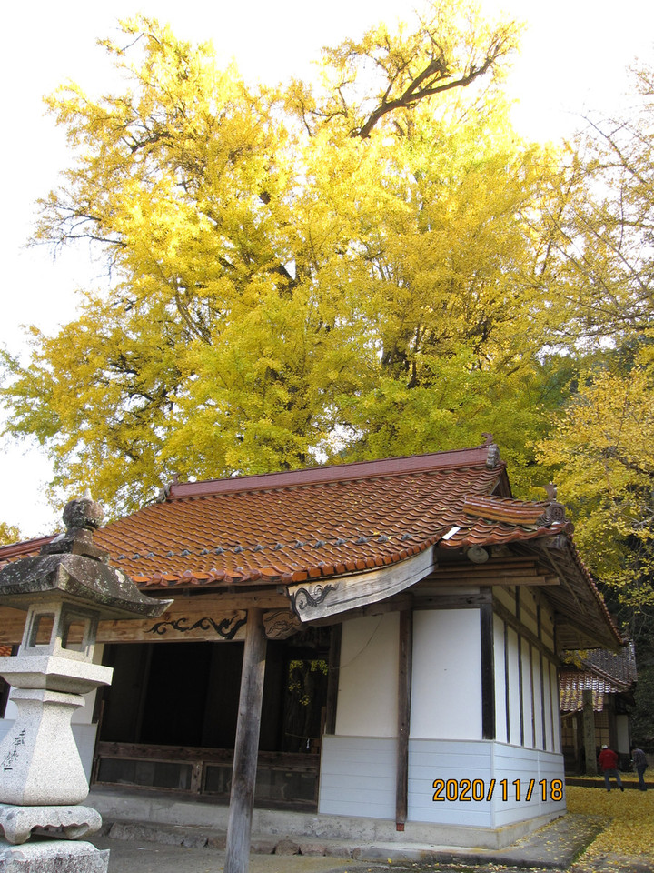 Img_8783 Img_8783