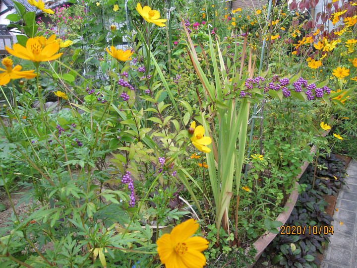Img_8640 Img_8640